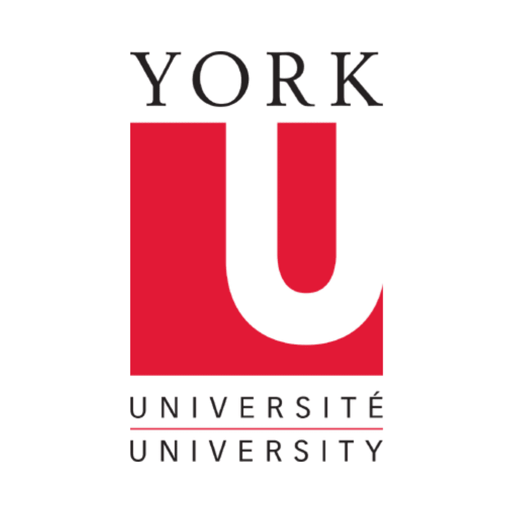 York University Logo